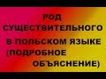 Польский. Тема: Прилагательное и существительное