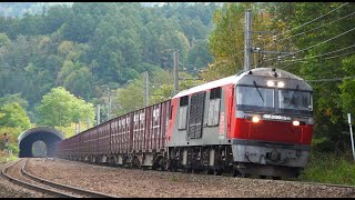 レッドベアーDF200 EH800牽引 2025年度総集編 期間限定馬鈴薯輸送専用貨物列車(芋臨)