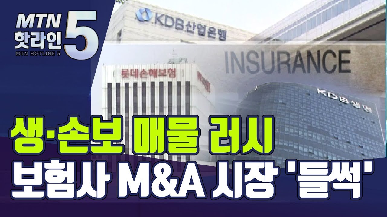 생·손보 매물 러시...들썩이는 보험사 M&A 시장 / 머니투데이방송 (뉴스)