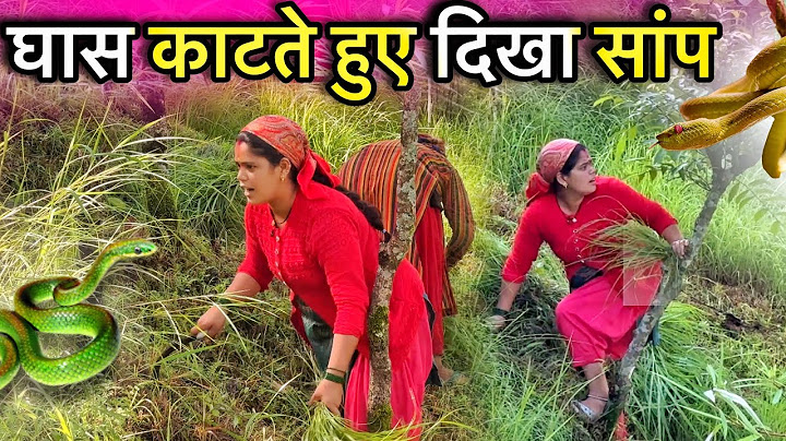सासुमा सांप के ऊपर कूद गई थी 😳 डर के मारे