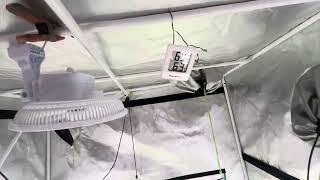 Grow ur own medicine for beginners update