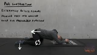 Frog Stretch Hip Rotation PAIL/RAIL