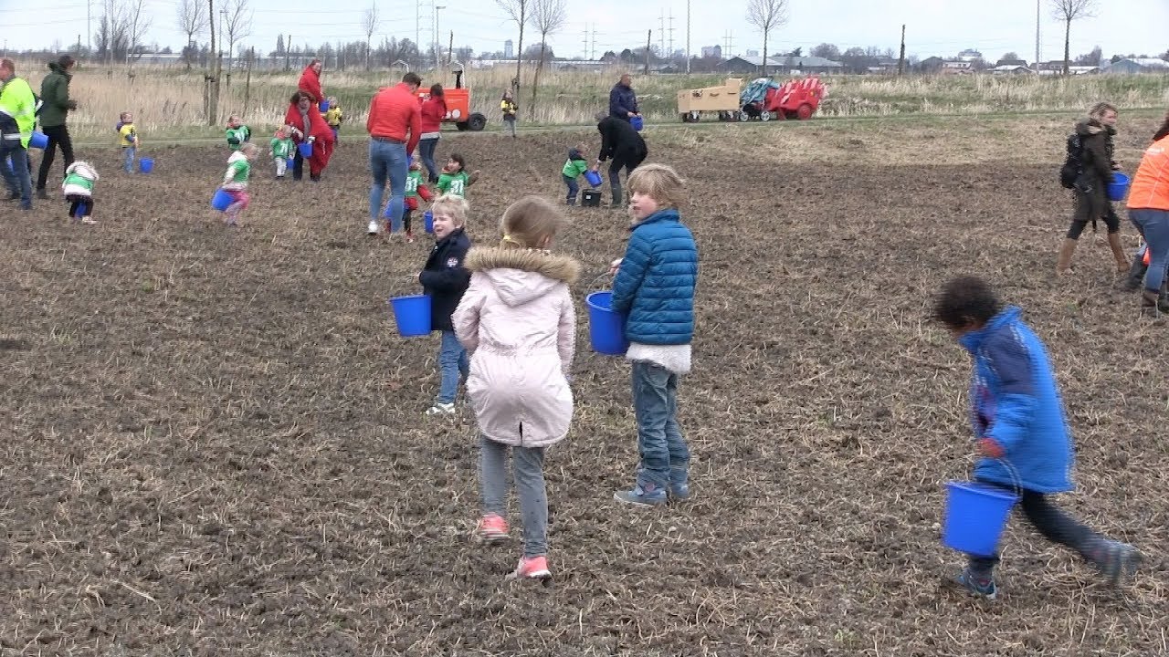 Vlinderidylle in de Groenzoom