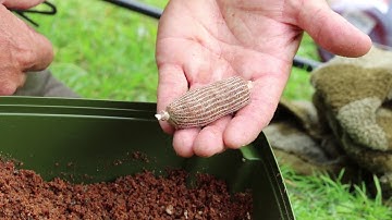 Quick Bite Carp Tactics!