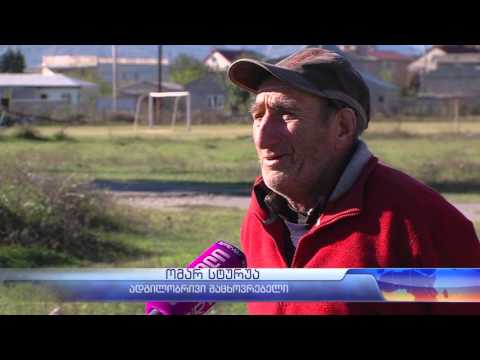 ანტისანიტარია, ბოსელად გადაქცეული გასახდელები და პირუტყვი სათამაშო მოედანზე