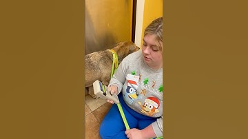 Skill 24, scanning for a microchip