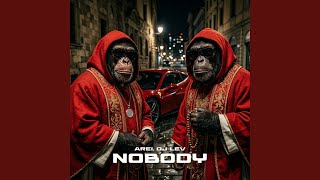 Nobody - Arei, DJ LEV