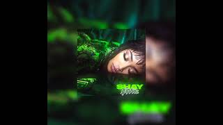 Liquide (speed up) - Shay ft Niska