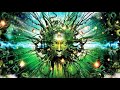 Psychedelic deep trance  psychill music mix