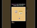 Squares are invincible in their domain #square #simulation #coding #battle #color #1v1