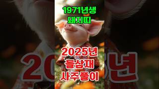1971년 신해(辛亥)년 돼지띠 2025년 토정비결 사주풀이 신년운세 운세풀이 삼재