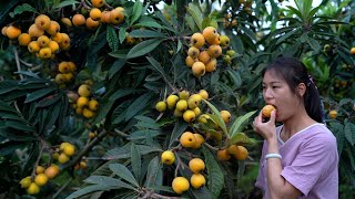 Cooking Chinese Food with Golden Loquat!