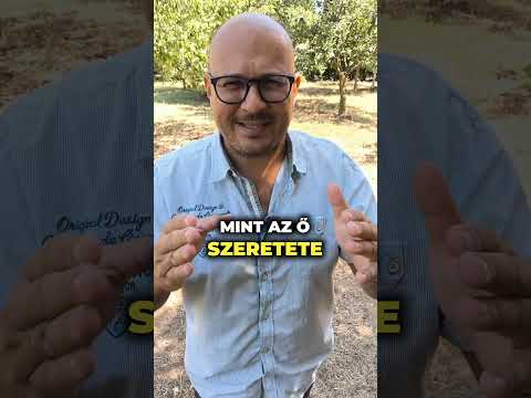 ❤️♾️🥰 Örök szeretettel szeretlek téged! 💖🌹😘✨💞🫶💕🌟