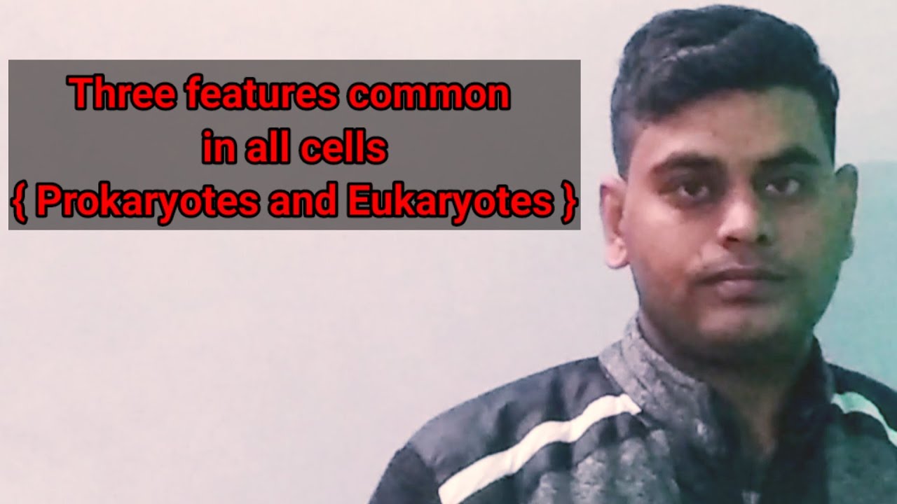 Cell || Three features common in all cells || 