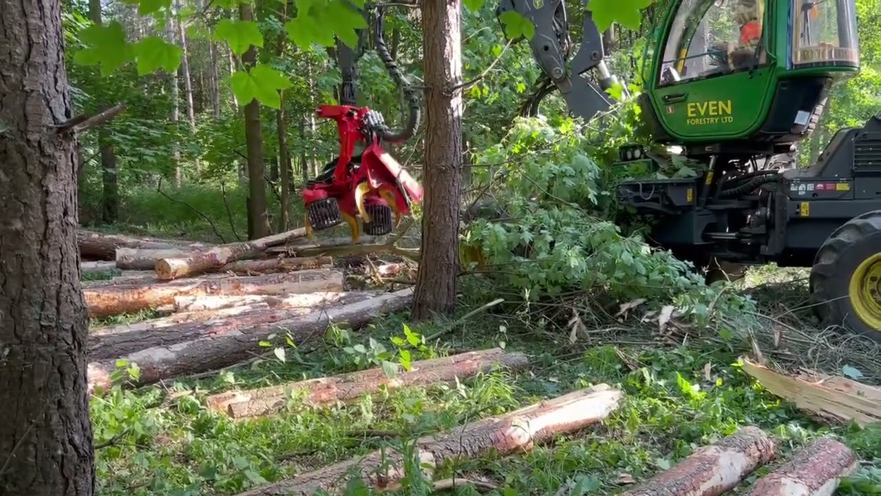SP 561LF Forestry Harvesting Head fitted to John Deere 1170G purpose-built harvester - Jas P Wilson