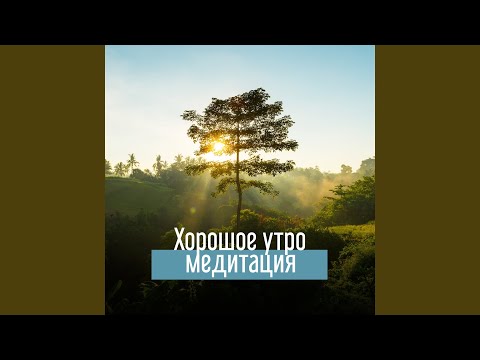 Таинственная ночь