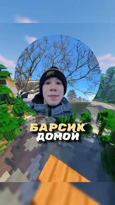 БАРСИК ДОМОЙ😭😱|#shorts #meme