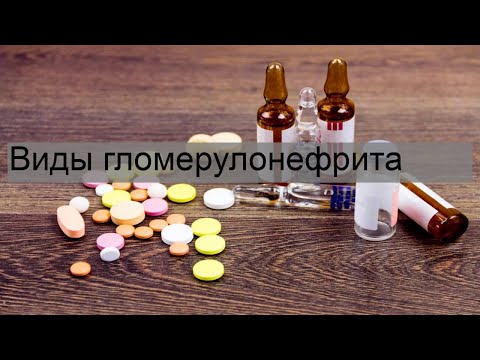 Виды гломерулонефрита