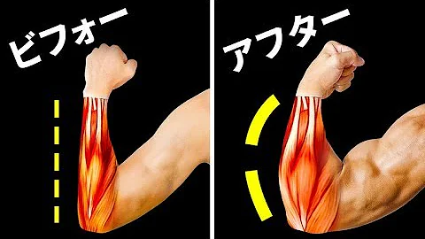 前腕筋群鍛え方