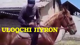 ULOQCHI JIYRON TULPOR OT