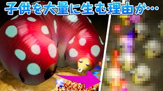 ぺー ゲーム生物図鑑の人気動画 Youtubeランキング