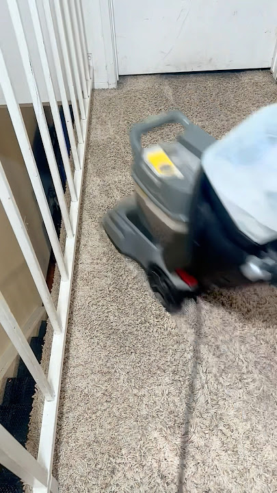 EASILY CLEAN YOUR DIRTY SOILED CARPET WITH THESE ITEMS 🥰