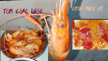 Tôm Càng Xanh Luộc Nước dừa chấm muối ớt quá ngon quá đã của lâm ngọc vlog
