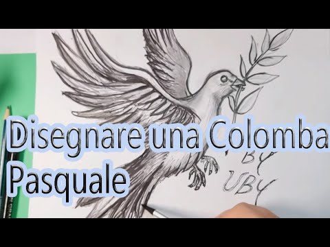 Video: Come Imparare A Disegnare Una Colomba