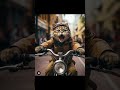 Https Youtube Com Shorts 8EJQxf8MIJE Si TaXJ4igJMRCr4PWS S Cat Shortvideo Shorts Tiktok Https Youtube Com Shorts 8EJQxf8MIJE Si TaXJ4igJMRCr4PWS S Cat Shortvideo Shorts Tiktok