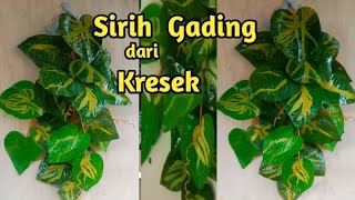 Cara membuat sirih gading model merambat dari plastik Kresek Cara membuat sirih gading model merambat dari plastik Kresek
