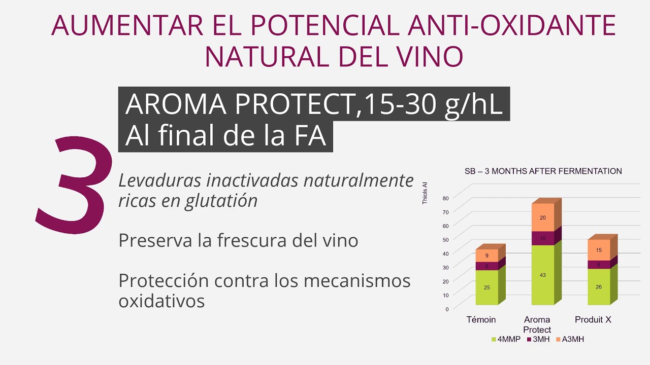 LamotheAbiet Winemaking Tips Alternativas al SO2 YouTube