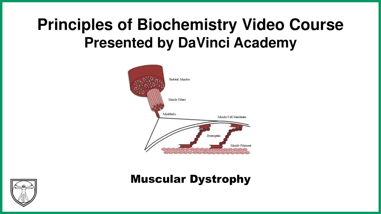 Muscular Dystrophy [Clinical Biochemistry 4 of 8]