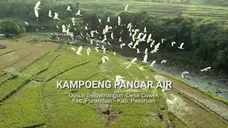 #Indahnya Negeriku: Kampoeng Pancar Air - SiHijau