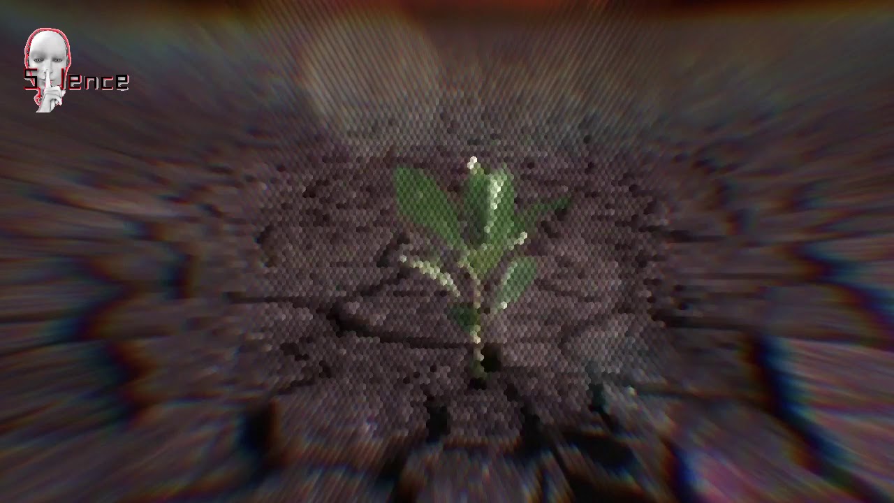 Watch Silence - Perseverance on YouTube Watch Silence - Perseverance on YouTube