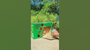 amazing creative quail trap using cardboard box #shorts