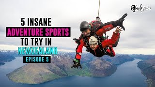 Exploring New Zealand Ep 5 | Insane Advenure Sports New Zealand | Curly Tales