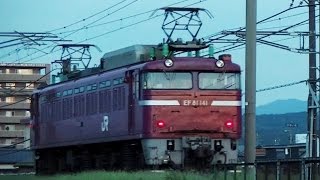EF81 141 単機回送