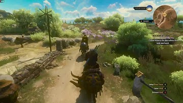 Witcher 3 R7 260x Sapphire v2 1GB 60FPS Video Test