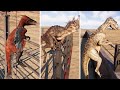 ALL CARNIVORE DINOSAURS ESCAPE (Climbing the Fence) - Jurassic World Evolution 2