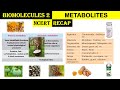Biomolecules 2 | Primary &amp; Secondary Metabolites | Lectins | Concanvalin A | Vinblastin | Morphine