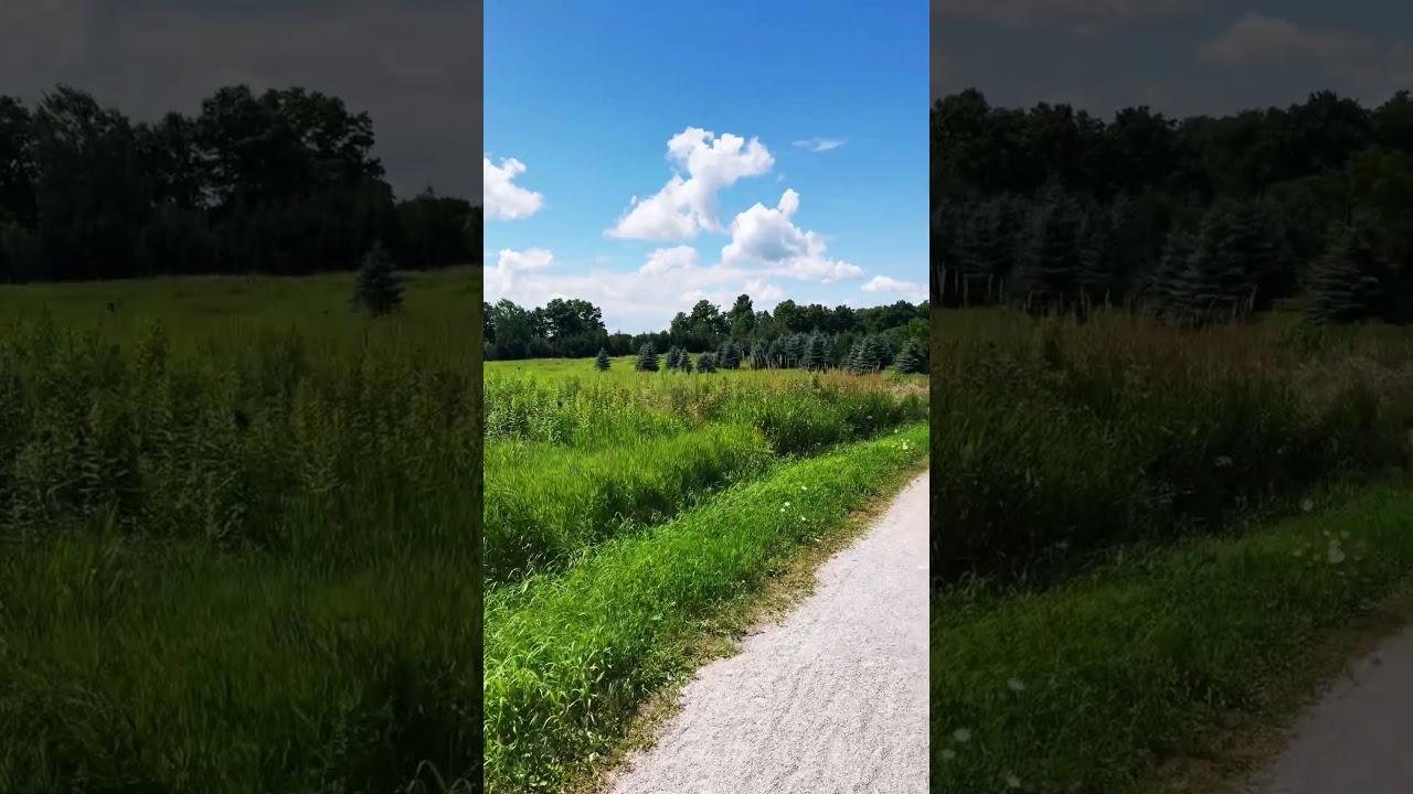 Beautiful Summer Walk 