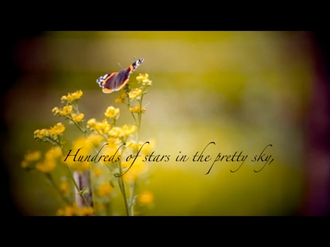 video-meme-|-butterflies-for-mom