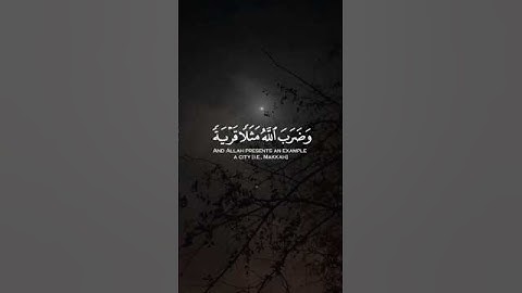 تلاوة خاشعة للقارئ ياسر الدوسري |سورة النحل |{122}| #القرآن_الكريم