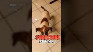 Melody of Joy: Dogs Playing While Barking #dog #animals #funnydogs #anjingku  #shorts