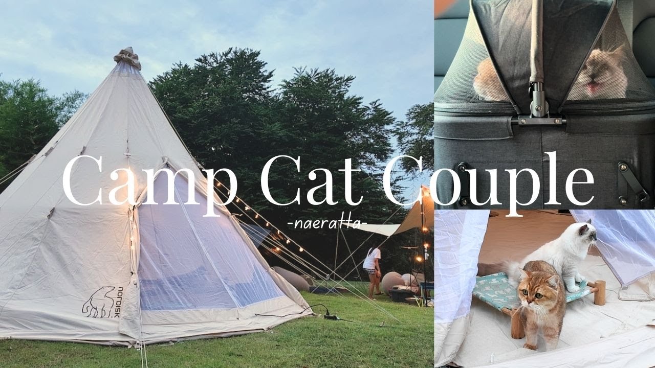 CCC l ครั้งแรกกับ Nordisk Alfheim และ การพาแมวมาแคมป์ปิ้ง