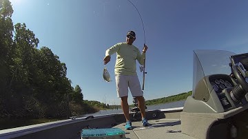 Fishing Tips for catching Crappie around standing timber.