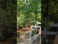 Küçük Ama Büyüleyici Bir Ekosistem 🌍🌿