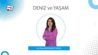 Deniz ve Yaşam - Hayalet Ağlar ve Türkiye'deki Durumu