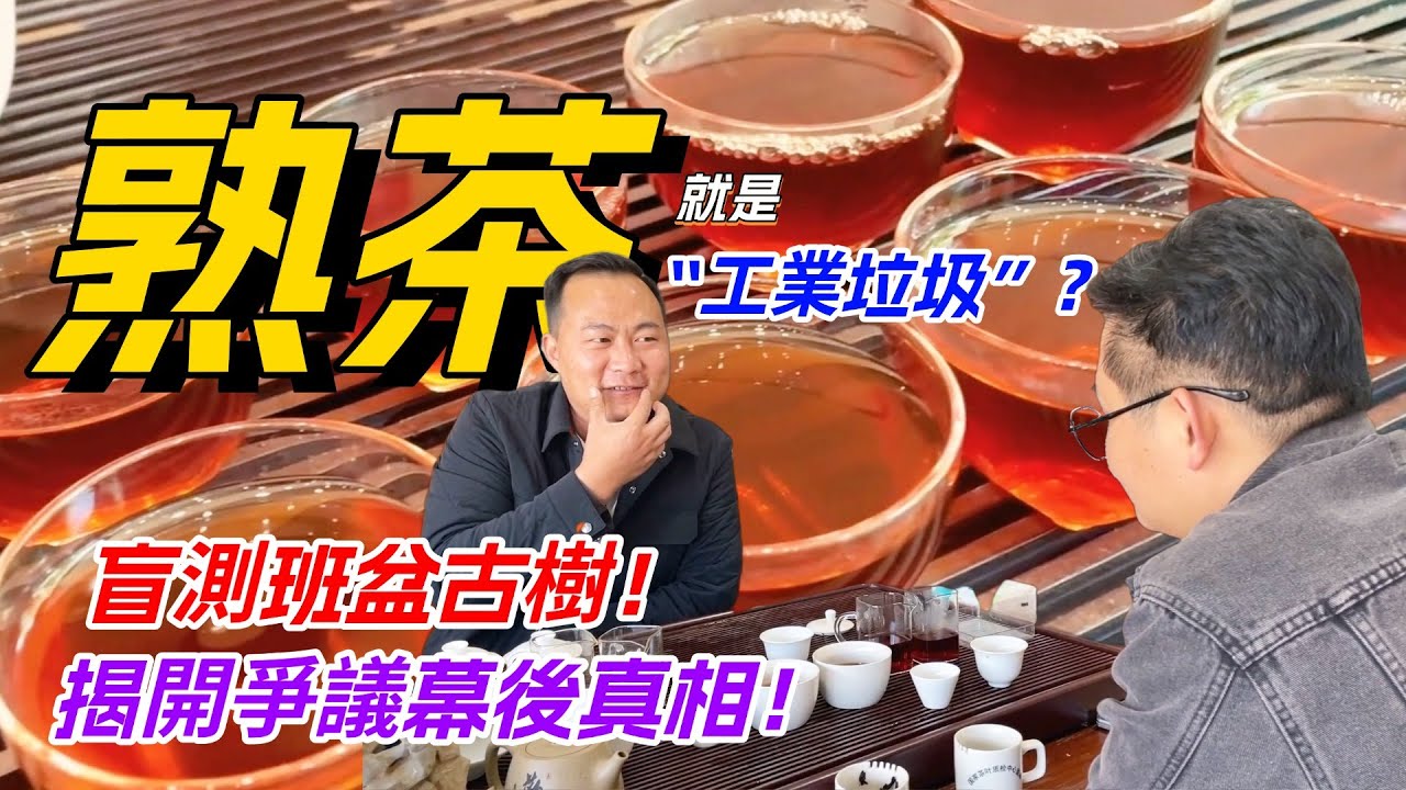 熟茶就是「工業垃圾」？盲測班盆古樹！揭開爭議幕後真相！购茶请加微信/赖line：HDLG002