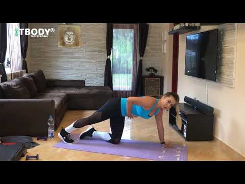 FitBody Professional 19.